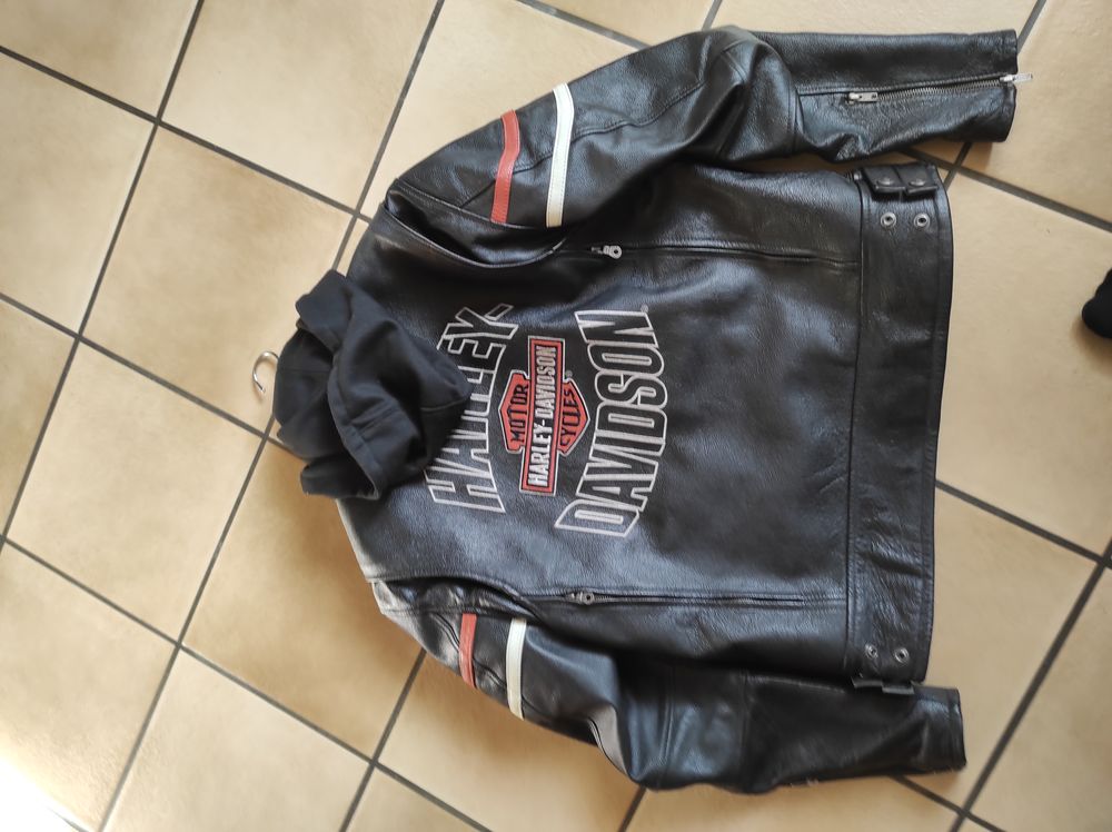 Blouson Harley Davidson 220 Reignier (74)