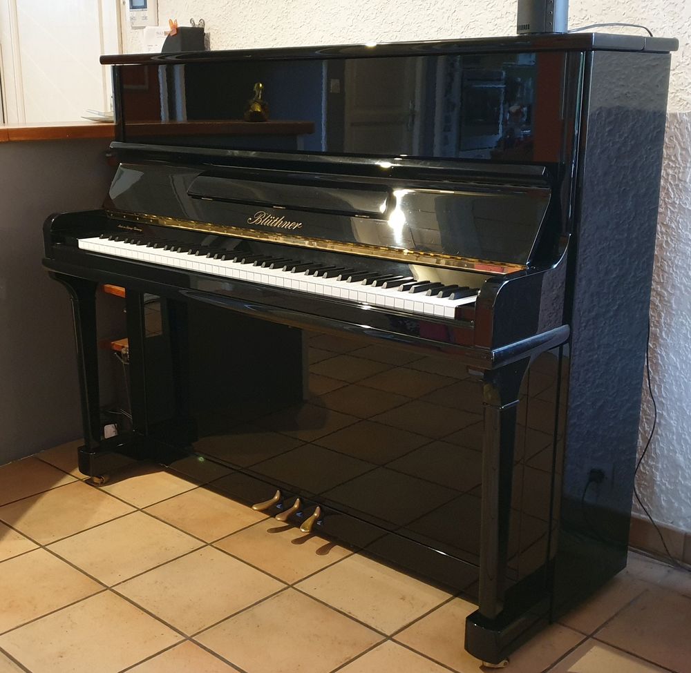 Bl�thner Mod�le A-124 14000 Gujan-Mestras (33)