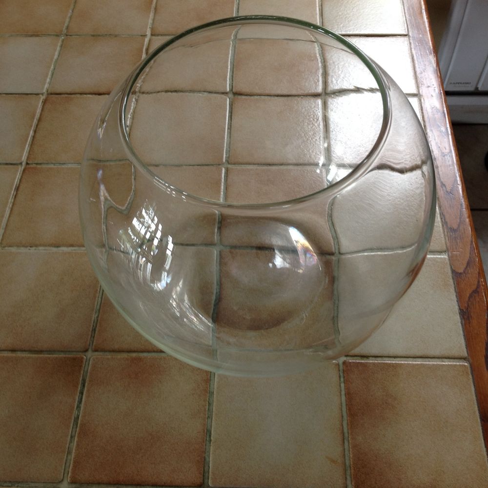 bocal pour poisson rouge 5 Gaillac (81)