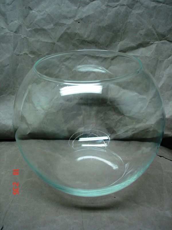 Bocal en verre 0 Saint-Brice-en-Cogl�s (35)