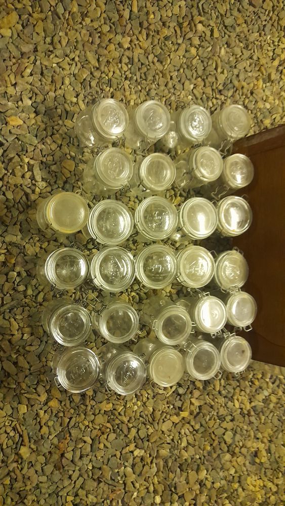 28 bocaux de 0litre750 25 Teloch� (72)