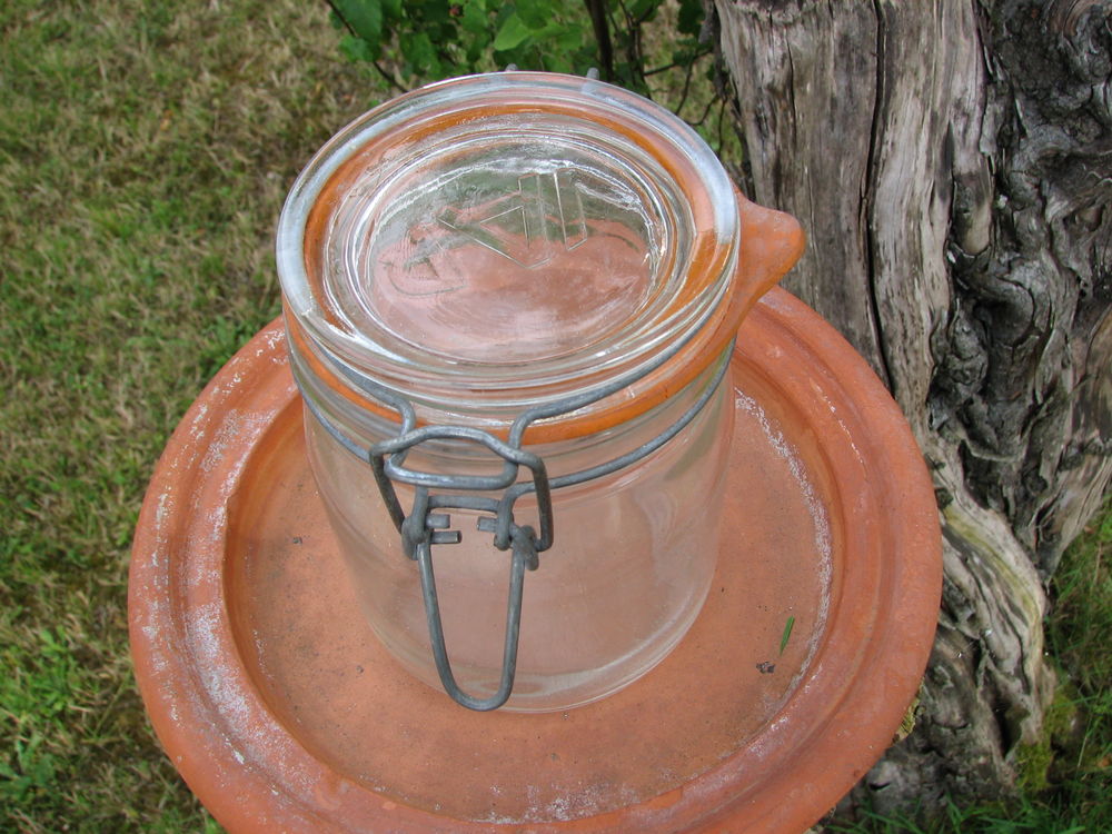 BOCAUX-BOCAL-LOT DE BOCAUX-Bocaux de conserve 2 Montfermeil (93)