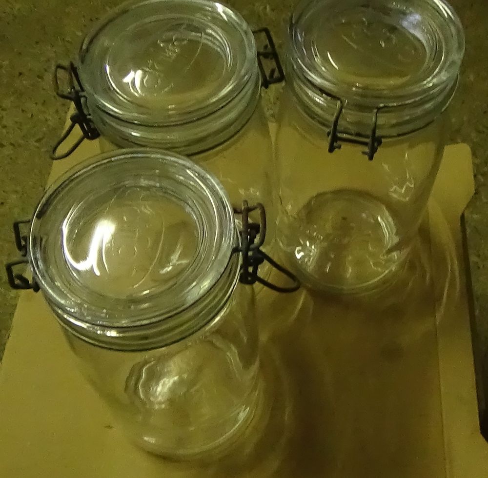 Bocaux � conserve de 1 litre et demi 25 Balma (31)