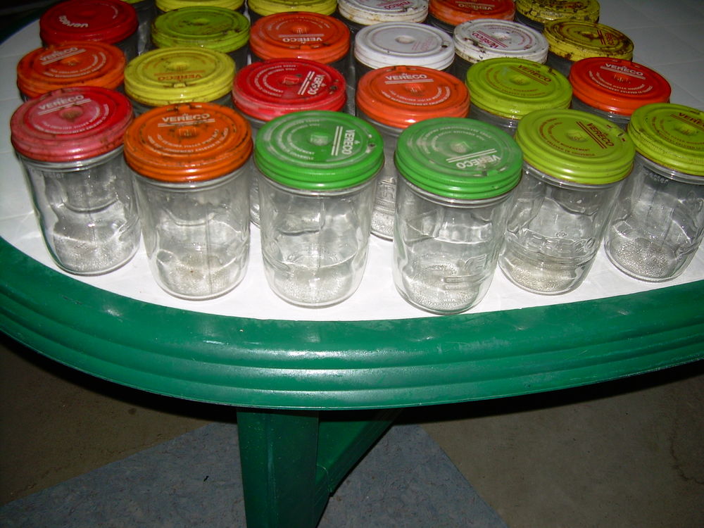 Bocaux conserves 30 Revel (31)