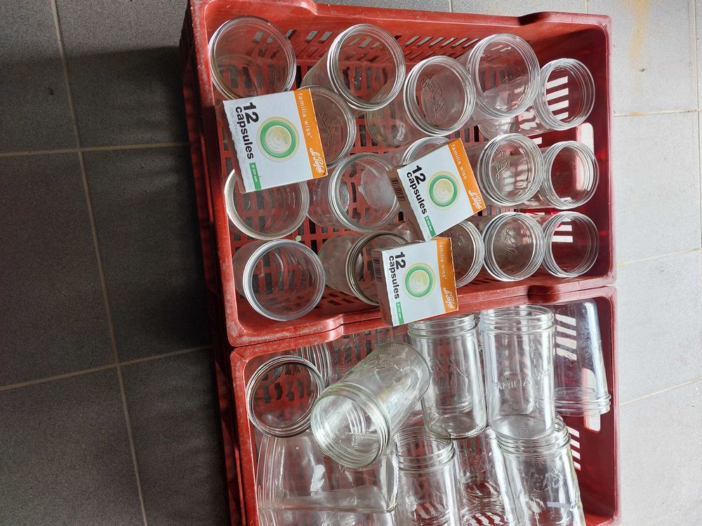 Bocaux pour conserves 40 Festalemps (24)