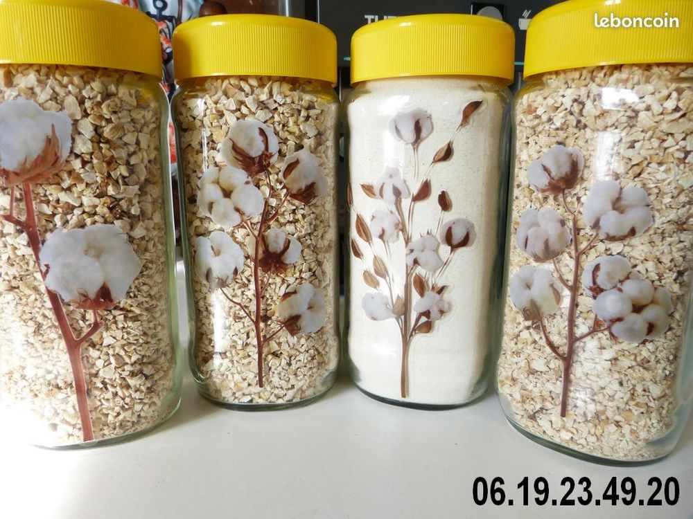 Bocaux en verre avec leurs couvercles 1 Rouen (76)