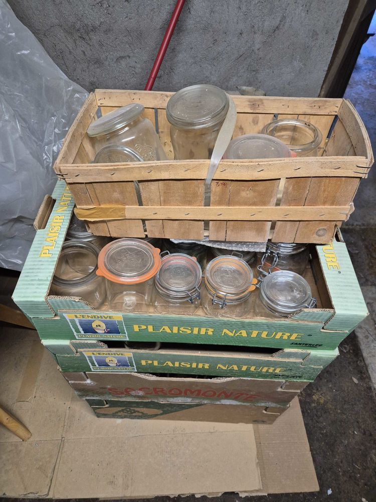 Lot de bocaux en verre pour conserves �  Le Parfait / Rillenglas 50 Bretagne (90)