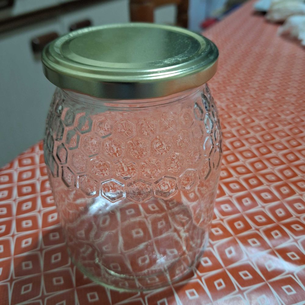 bocaux 30 Villeneuve-sur-Lot (47)