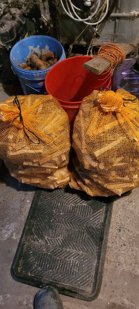 Bois d allumage 3.5 Dainville (62)