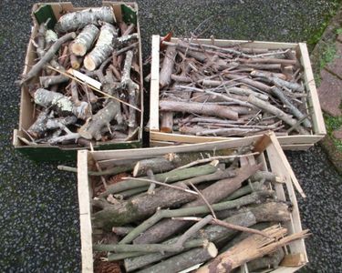 Bois bras�ro ou chauffage 6 Gujan-Mestras (33)