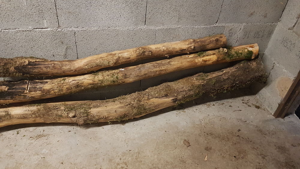 Bois de buis sec 1 Saint-Beno�t (01)