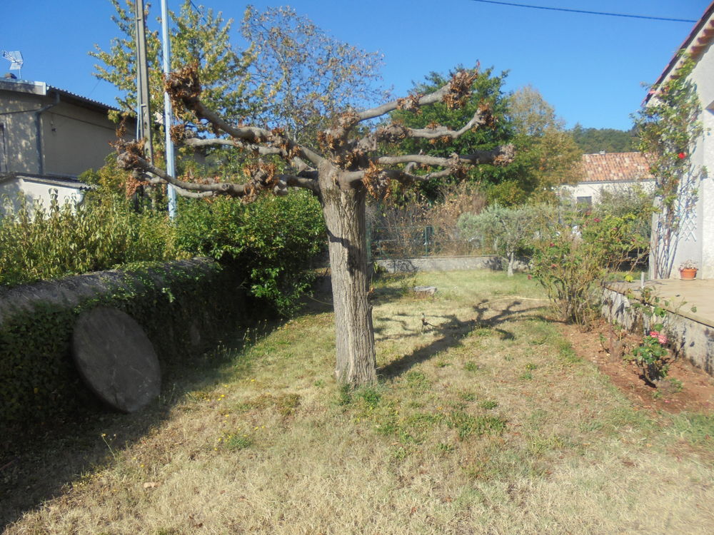 bois de de cauffage 0 Sisteron (04)