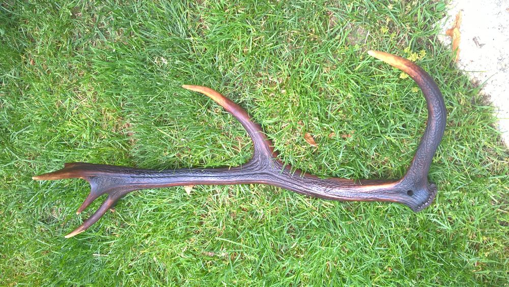 1 bois de cerf 100 Grandchamp (78)