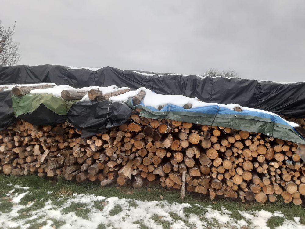 bois de ch�taignier 60 Lanouaille (24)