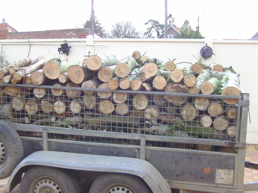 bois de chaufage sec �ssance fr�ne 50 Vr�ly (80)