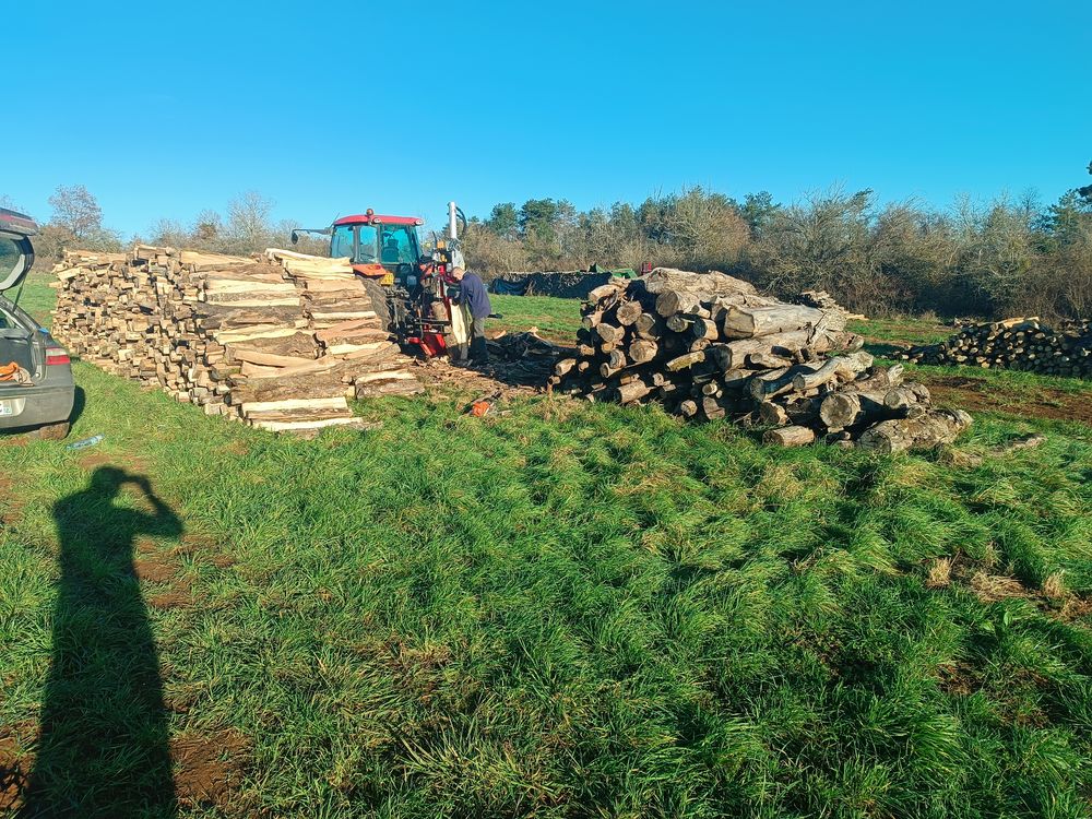 bois de chauffage bois dur 50cm 33cm 25cm  1m 68 Messigny-et-Vantoux (21)