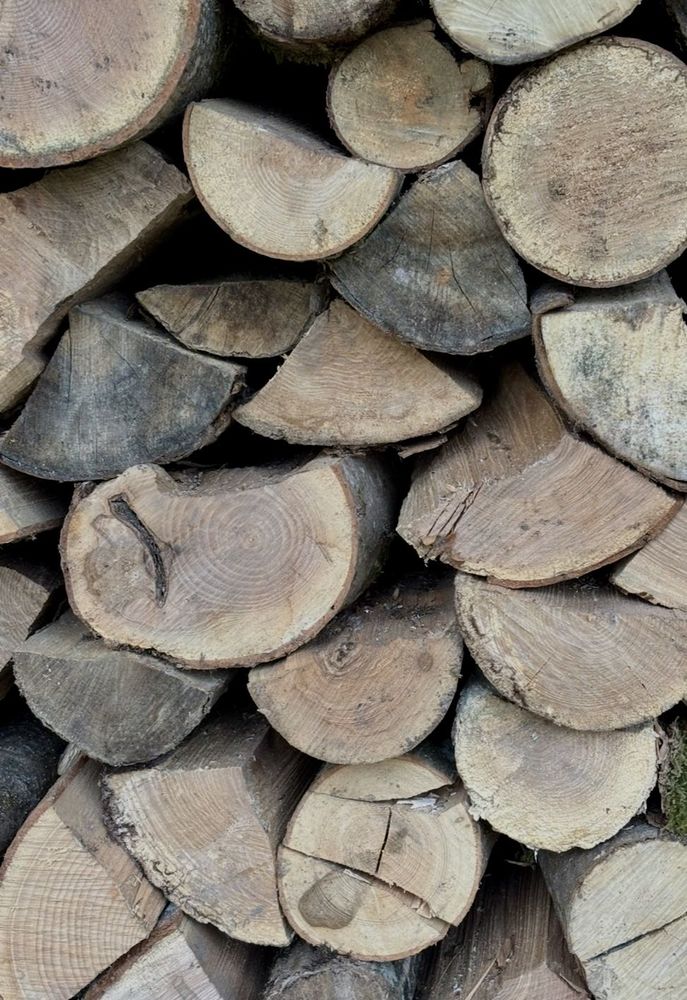 Bois de chauffage / Bois restaurant 55 Fontainebleau (77)