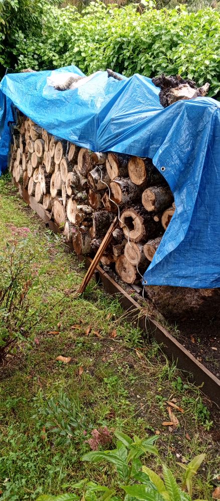 Bois de chauffage, Boulot, 40-50 cm - 3 st�res : 175 � 175 Orleans (45)