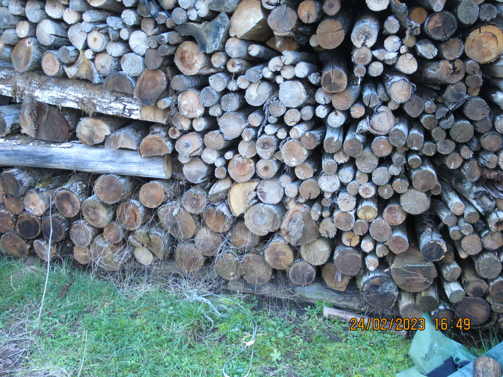 Bois de chauffage chataignier 60 Lanouaille (24)
