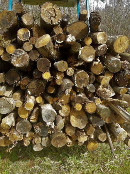  bois de chauffage de ch�taignier 35 Mazeyrolles (24)