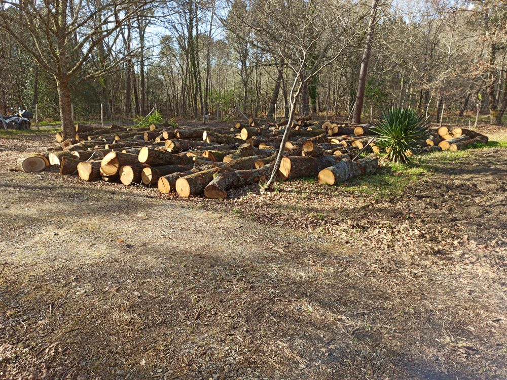 Bois de chauffage ch�ne livraison 65 Sanguinet (40)