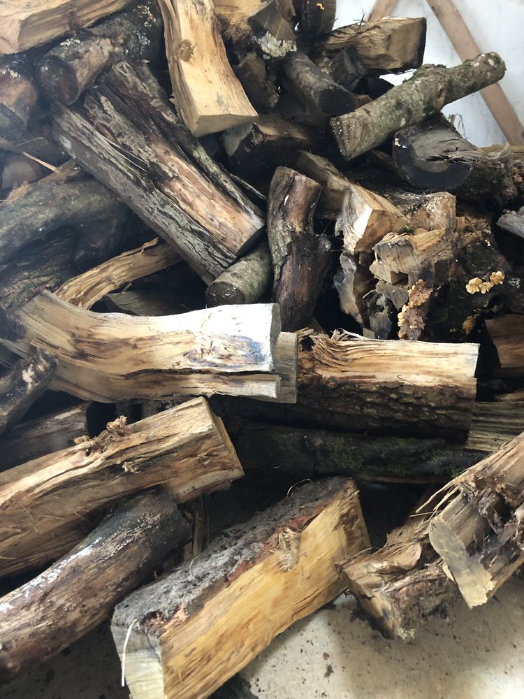 Bois de chauffage en ch�ne sec de 0,5 m 240 Plo�rmel (56)