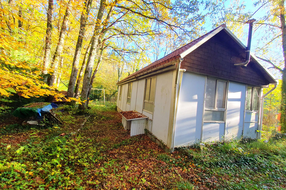 Bois de chauffage a couper 0 Aubigny-sur-N�re (18)