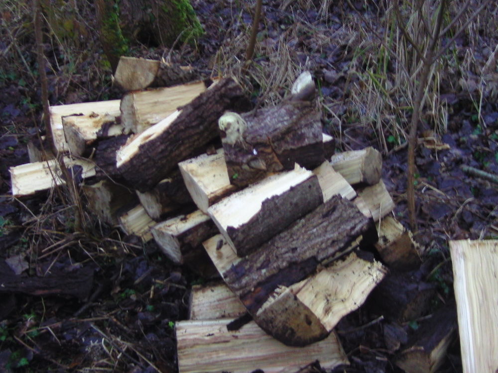 bois de chauffage sec �ssance grisar 40 Vr�ly (80)
