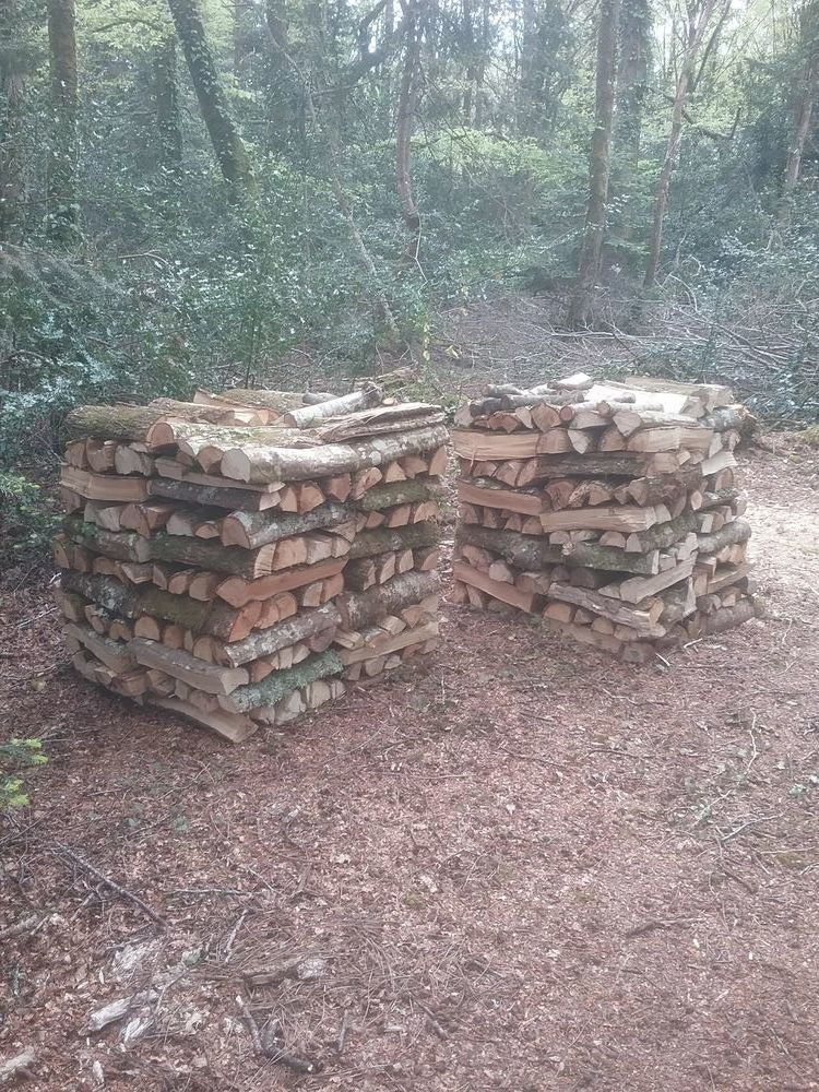 Bois de chauffage H�TRE, CH�NE, CH�TAIGNIER. 100 Combrit (29)