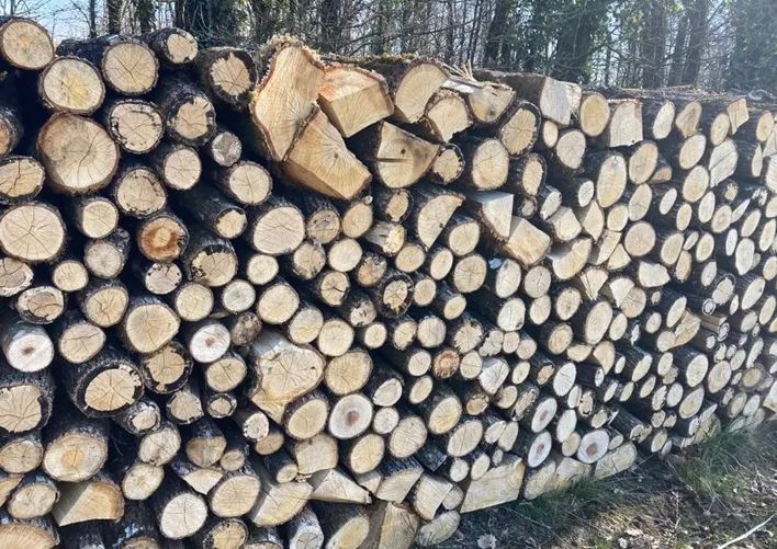 Bois de chauffage livraison offerte 50 Soissons (02)