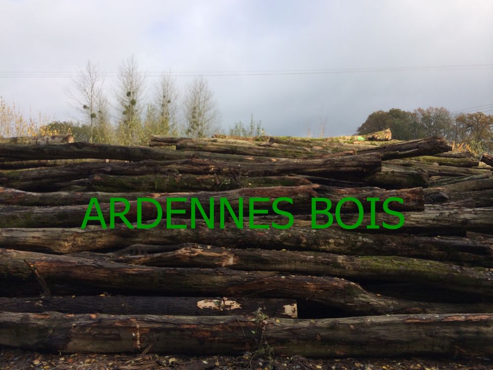 Bois de chauffage en longueur de 2 m�tres 68 Douai (59)