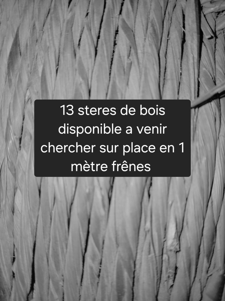 Bois de chauffage en 1 metre fr�nes 45 Vers-sous-Selli�res (39)