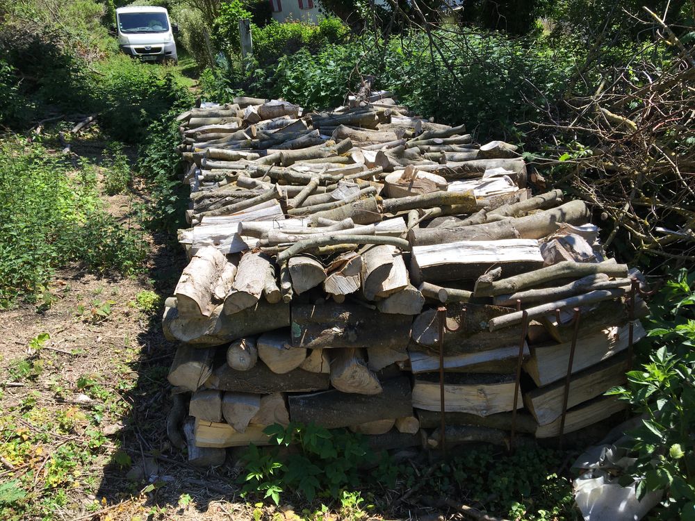 bois de chauffage 
En 1 m�tres ,50/. 33 50 F�camp (76)