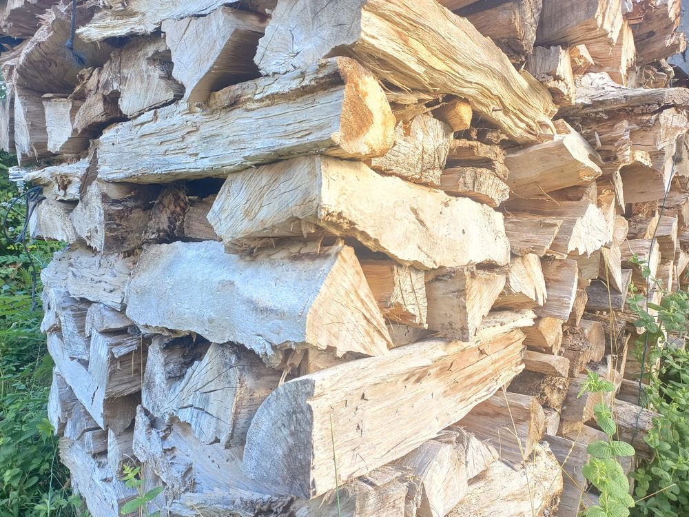 Bois de chauffage Peuplier 45 Marcellus (47)