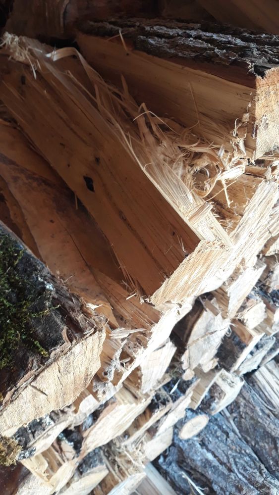 Bois de chauffage Peuplier Livrer 80 R�alville (82)