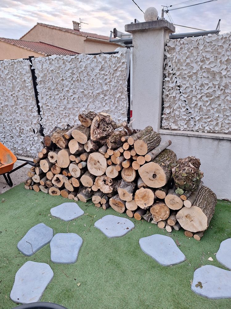 Bois de chauffage - 1 st�re - essences diverses - livr� chez 50 Auriol (13)