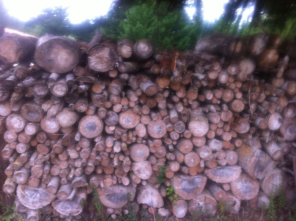 Bois de chauffage 70 Saint-Jean-de-Monts (85)