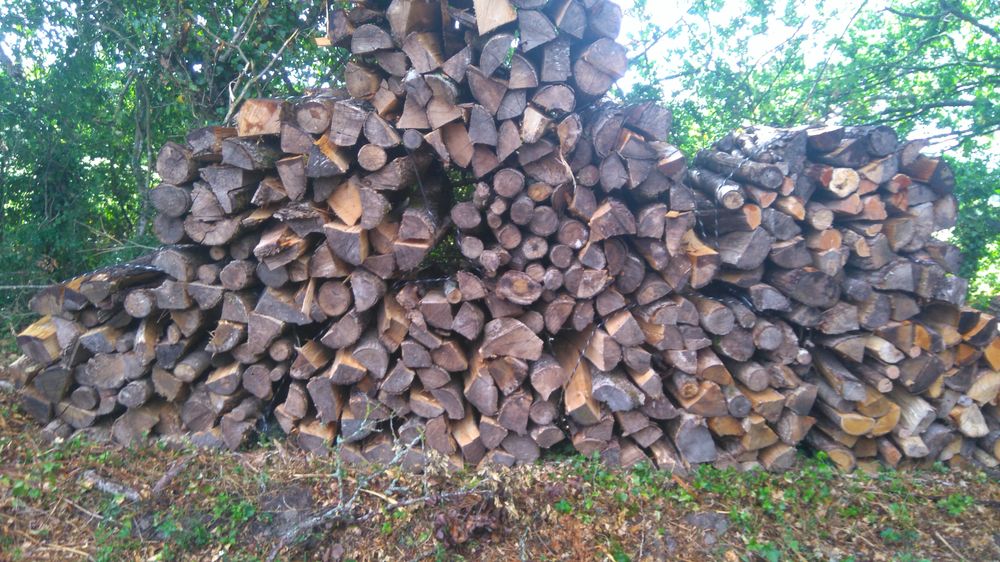   bois de chauffage 55 Bl�neau (89)