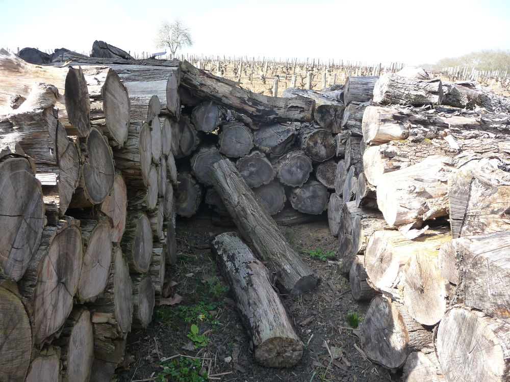 Bois de Chauffage 40 Saint-Quentin-sur-Nohain (58)