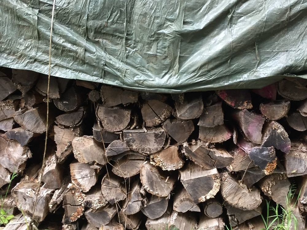 Bois de chauffage sec 55 Paulin (24)