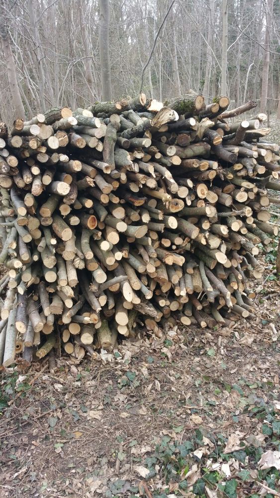 bois chauffage 80 Colmar (68)