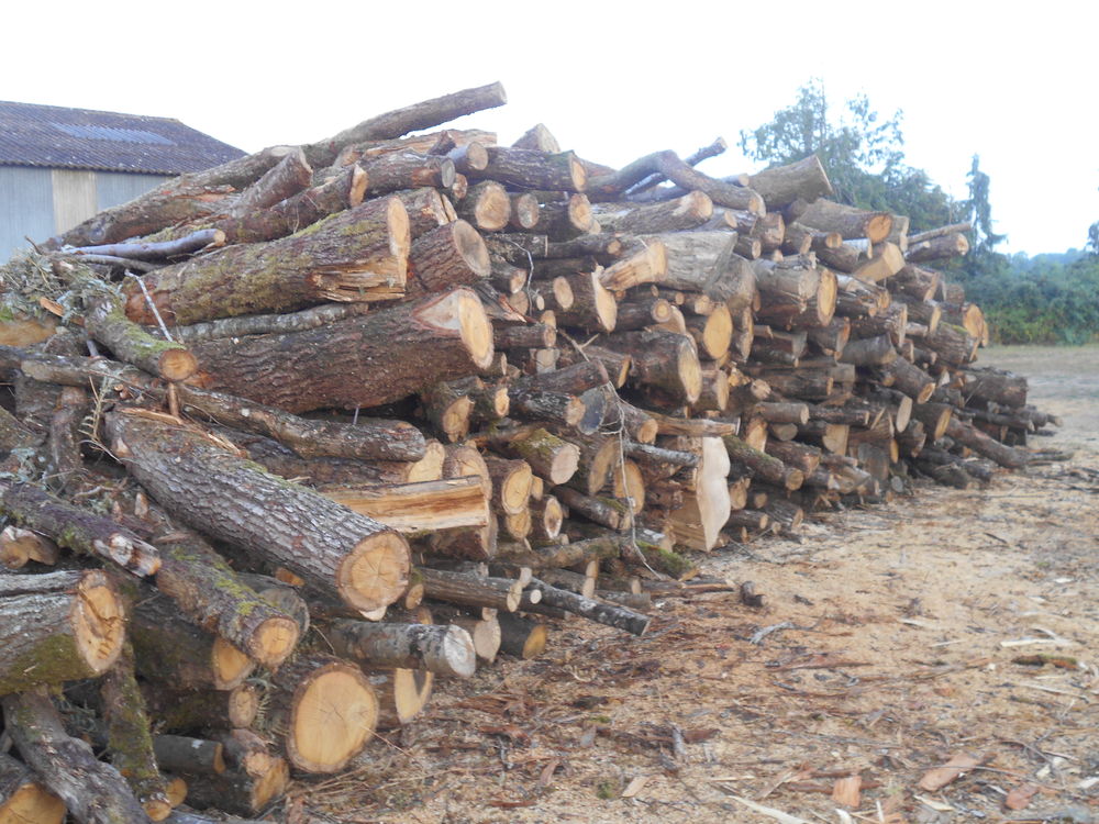 bois chauffage 0 Pacy-sur-Eure (27)