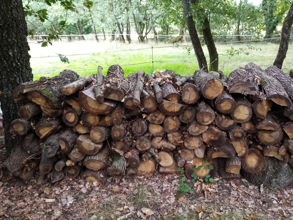 Bois de chauffage 60 Muret (31)