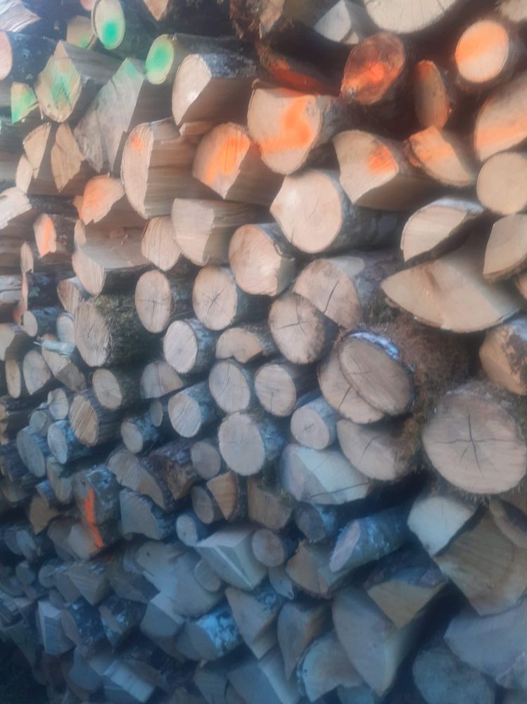 Bois de chauffage 40 Chenecey-Buillon (25)
