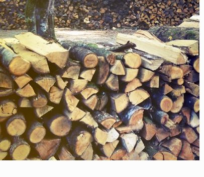 Bois de chauffage
50 Couzeix (87)