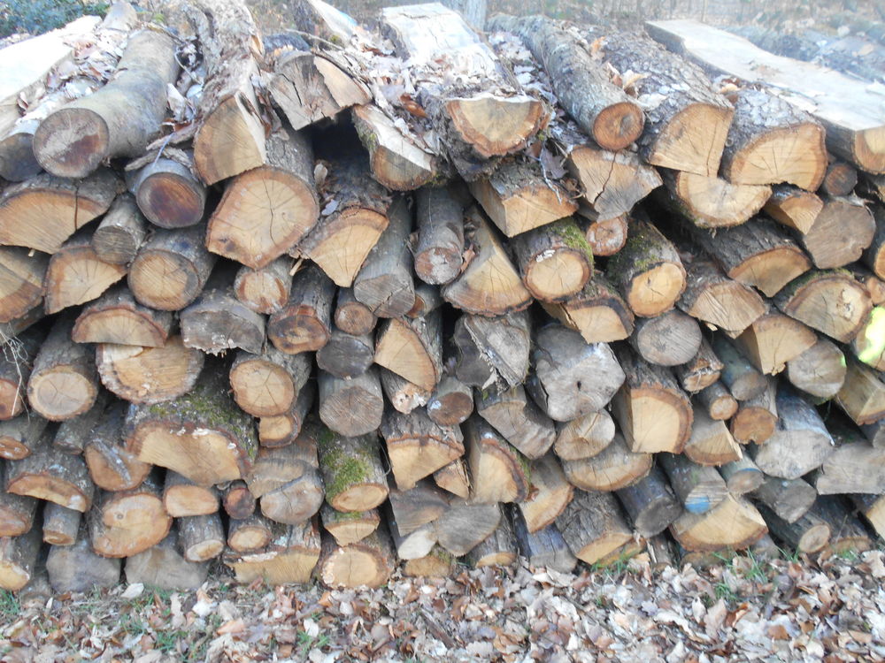 bois chauffage 65 Saint-Andr�-de-l'Eure (27)