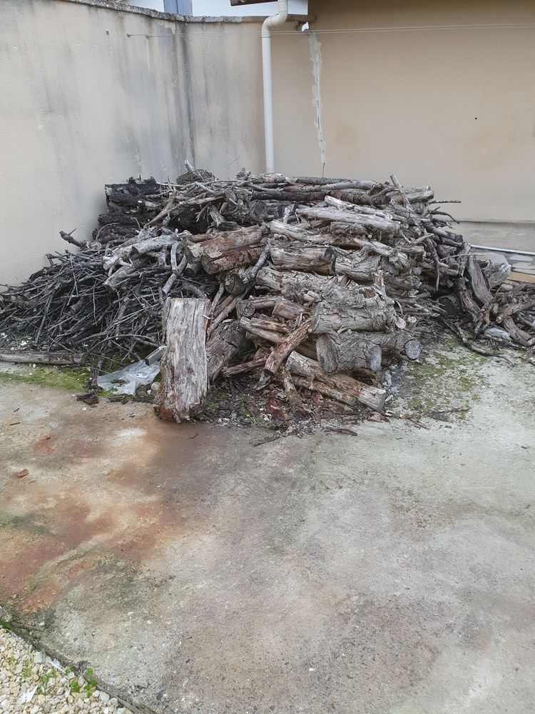 Bois de chauffage 0 S�rignac (82)