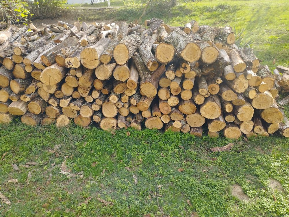 Bois de chauffage 75 Saint-Blancard (32)