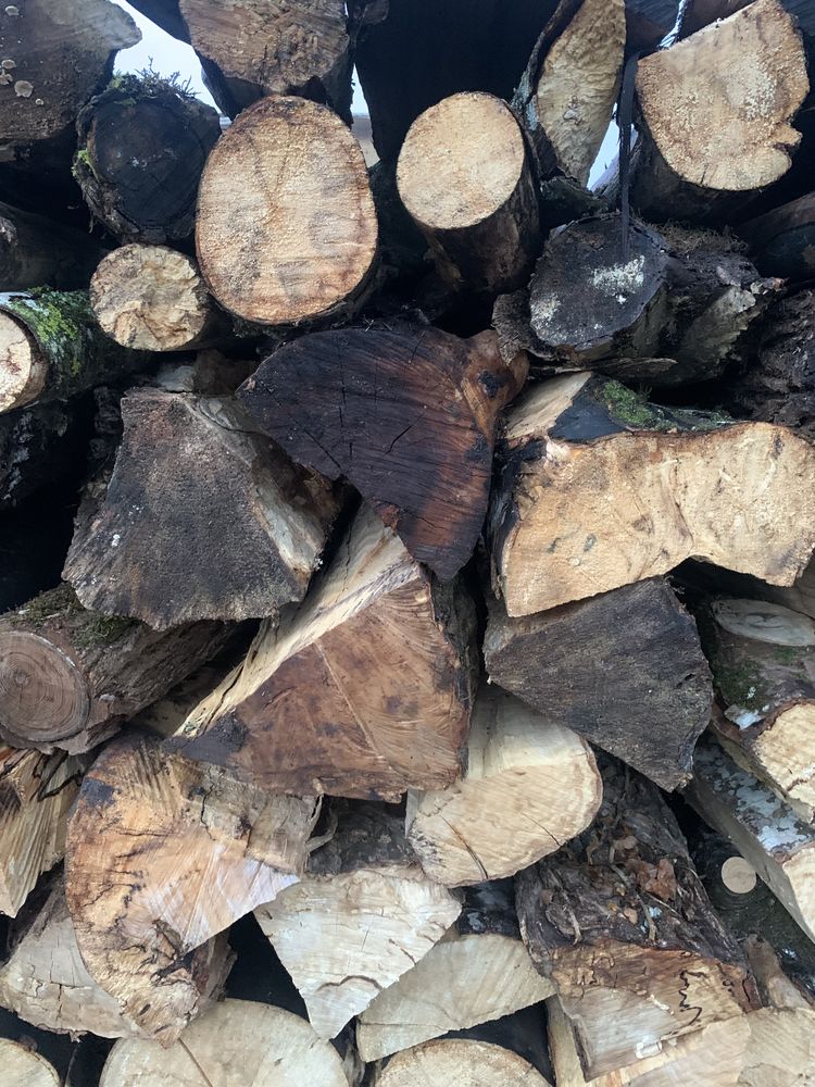 Bois de chauffage 50 Blois (41)