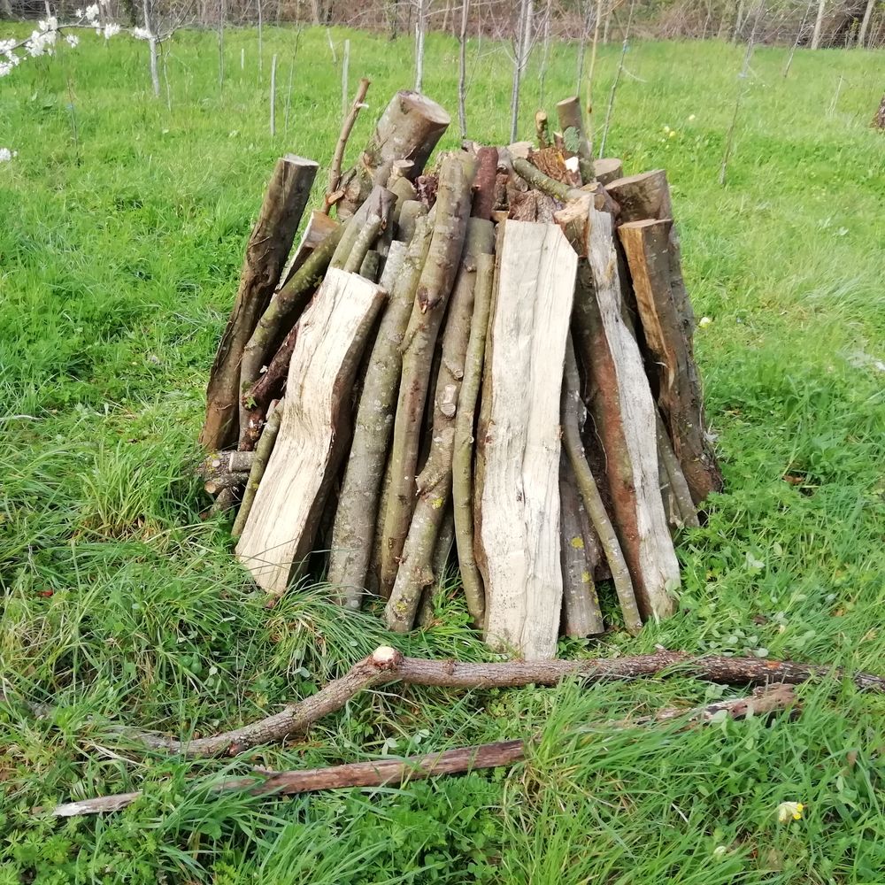 bois de chauffage 60 Lu�on (85)